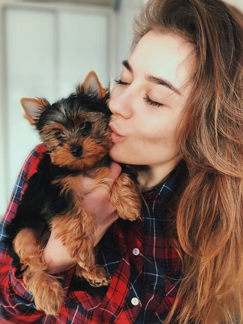 Pet Owner