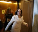 VP Kamala Harris Reveals Plan to Address Illegal Crossing Amid Border Crisis at the U.S.-Mexico Border