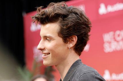 Shawn Mendes 'It'll Be Okay' Song Arrives After Breaking Up With Cabello | Camila Still Supports Her Ex