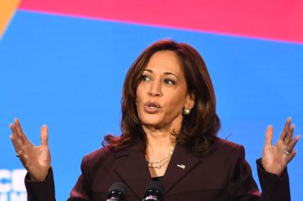 Kamala Harris Net Worth 2022: How Rich Is the 49th Vice President?