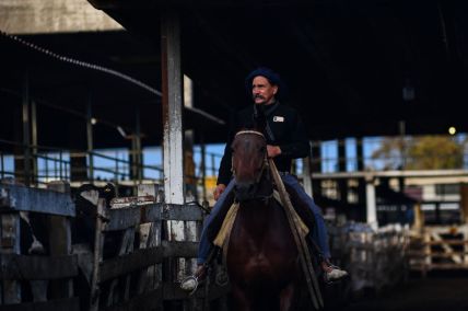 Gaucho of Argentina: How Did the Cowboy Culture Start in South American Country?