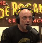 The Joe Rogan Experience