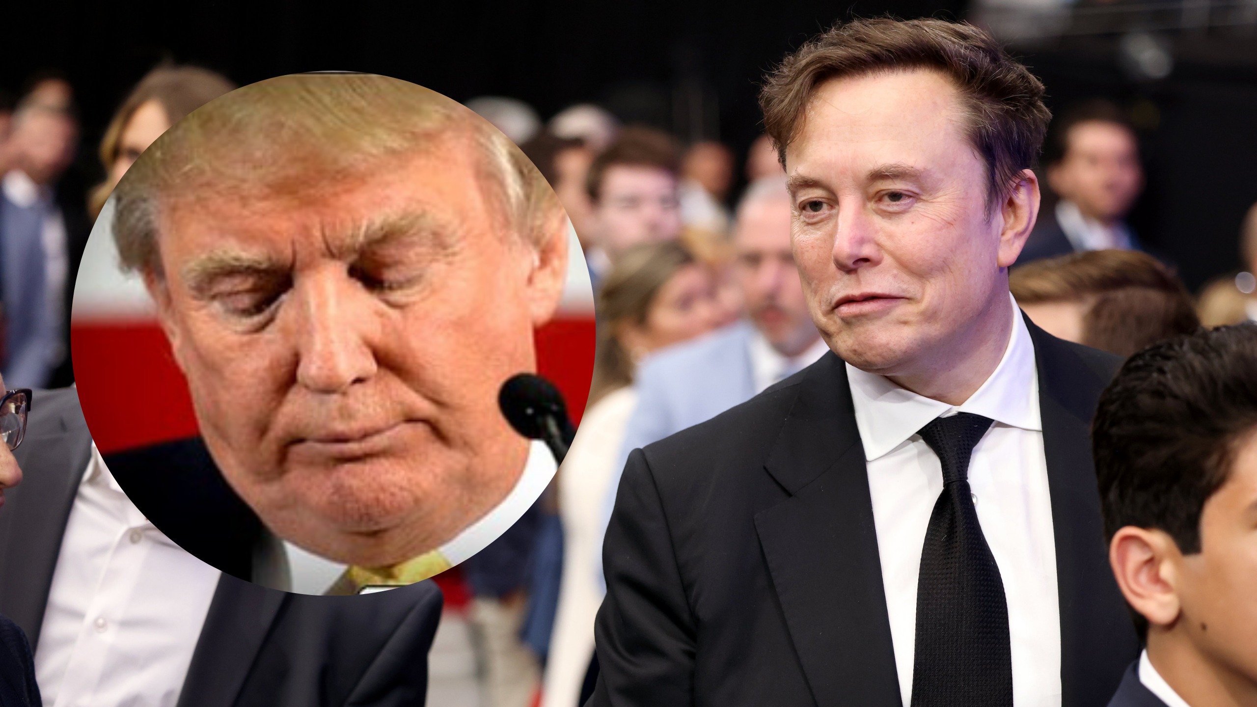 Musk Mocks Trump's Board of Peace in Davos, Jokes About Greenland Invasion 'Is That P-I-E-C-E?'