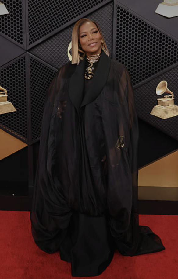 Grammys 2026 Red carpet looks best and worst