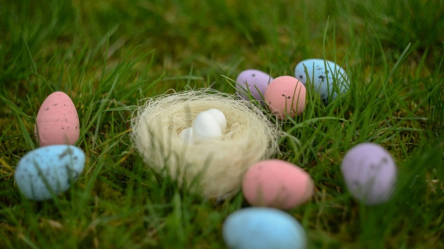Easter Egg Hunt
