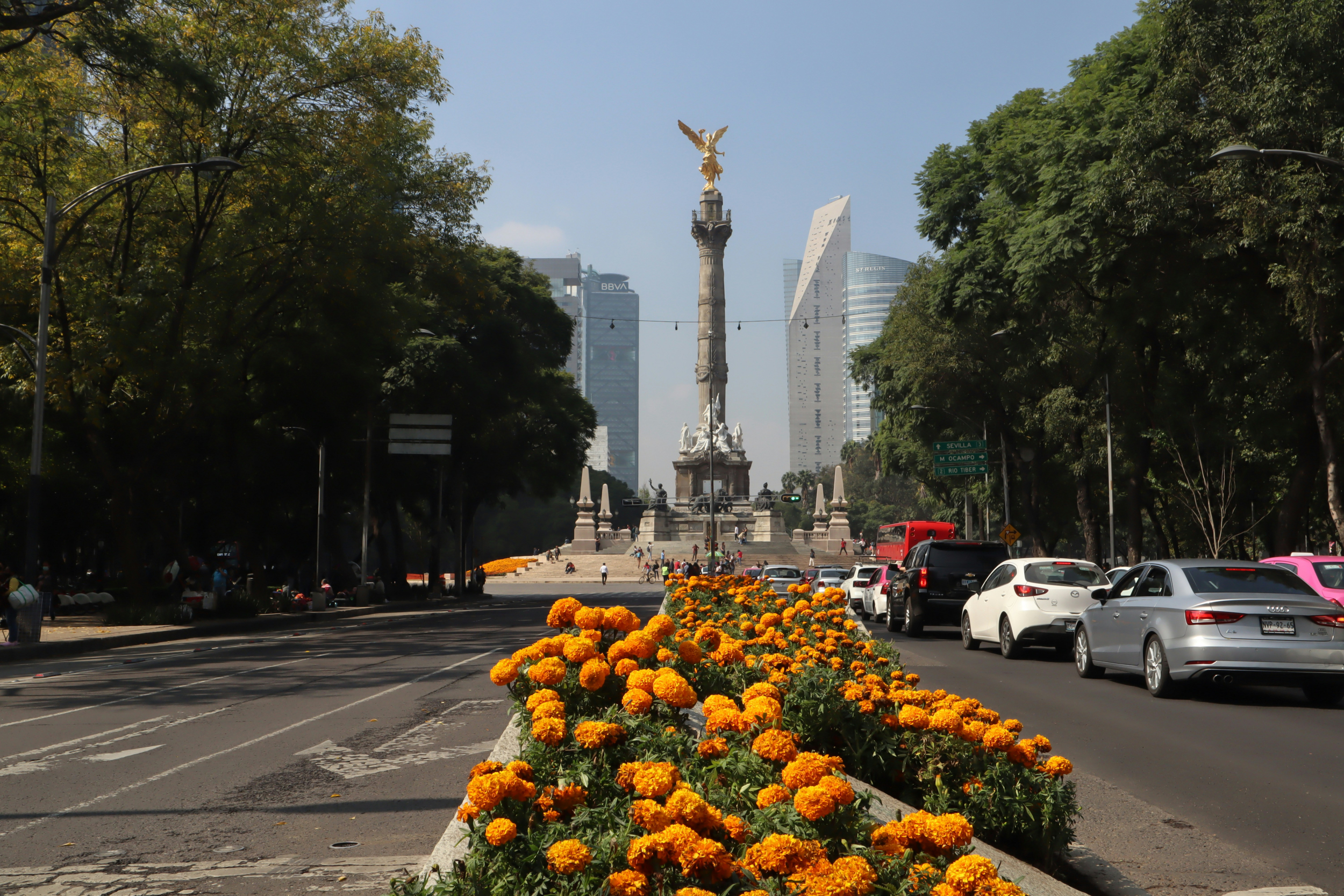 Rare Immigration Raids In Mexico City Spark Fear Among Foreign Communities