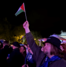 Eurovision Pro Palestine Protester